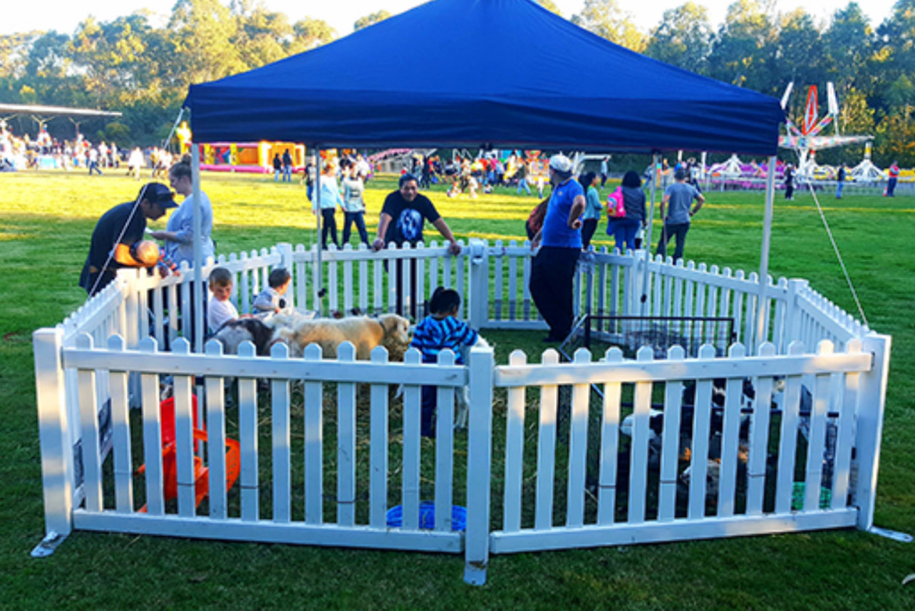 Petting Zoo hire Sydney